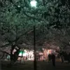 kosuke.sekiyaのアイコン